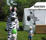 ÁPISZ zebra sétálóbáb